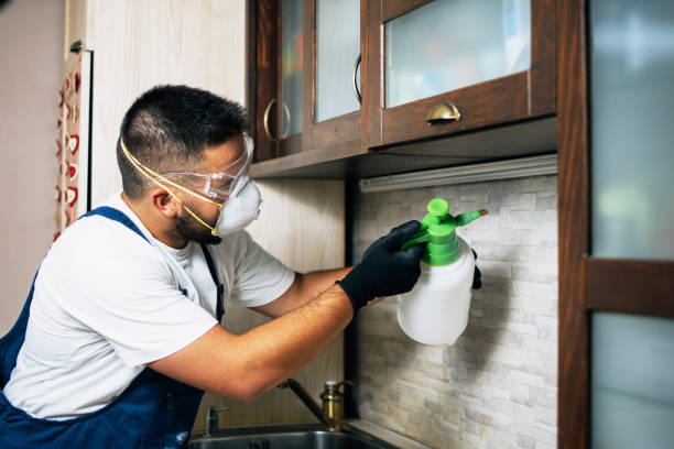 Best Cockroach Control Services  in Blissfield, MI
