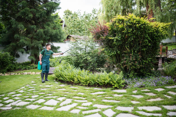 Best Wasp Removal Services  in Blissfield, MI