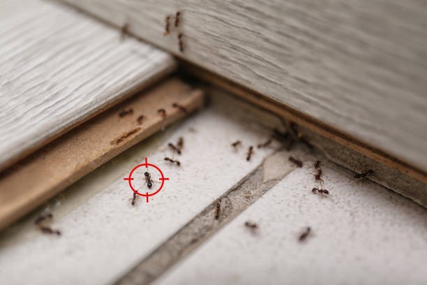 Best Wildlife Control Services  in Blissfield, MI