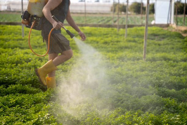 Best Ant Control Services  in Blissfield, MI