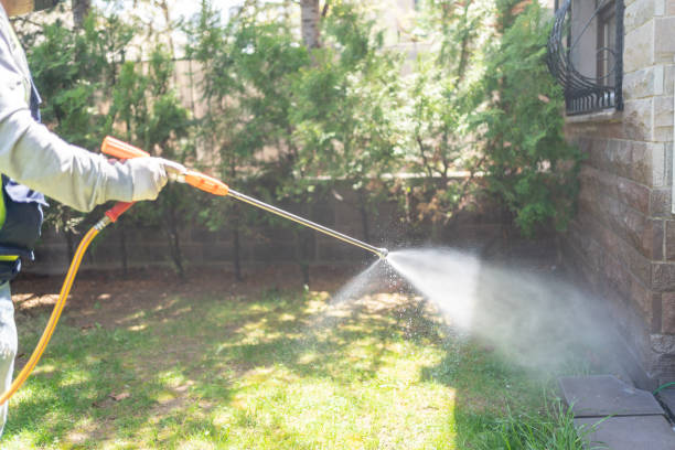 Best Pest Removal Services  in Blissfield, MI