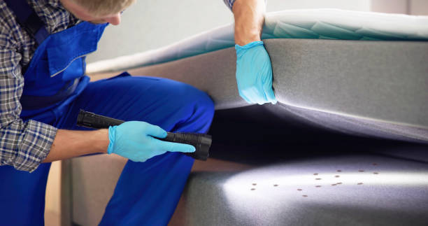 Best Commercial Pest Control Services  in Blissfield, MI