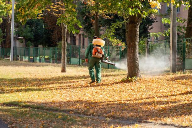 Best Commercial Pest Control Services  in Blissfield, MI