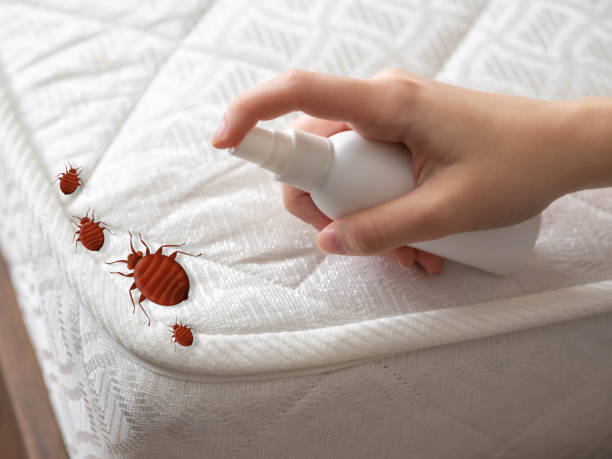 Best Wasp Removal Services  in Blissfield, MI