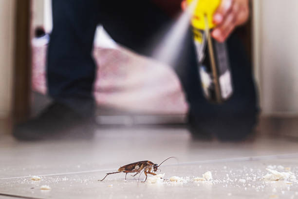 Best Affordable Pest Control Services  in Blissfield, MI