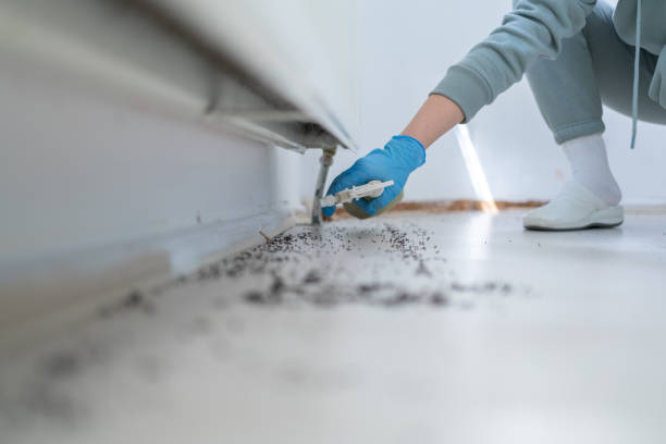 Best Cockroach Control Services  in Blissfield, MI