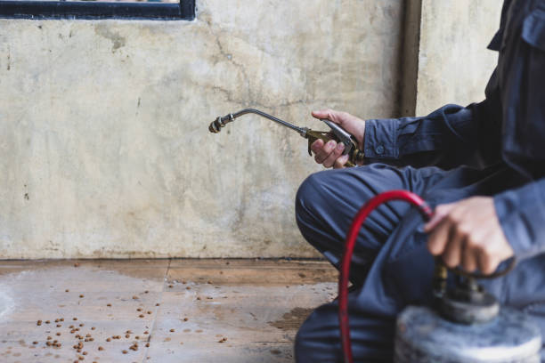 Best Best Pest Control Companies  in Blissfield, MI