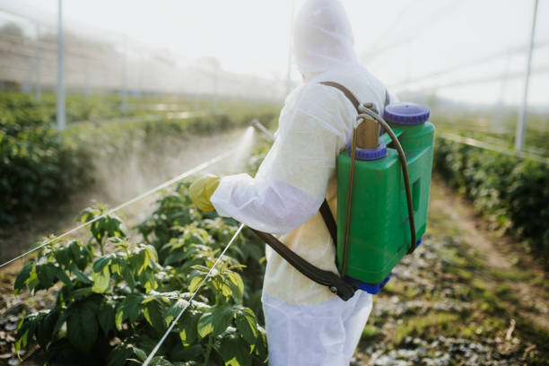 Best Residential Pest Control  in Blissfield, MI